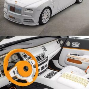 whatsapp image 2025 08 31 at 1.30.41 am