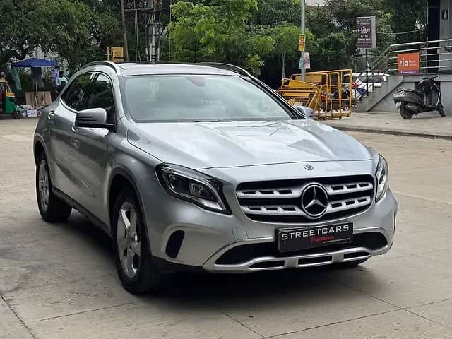 money plant money plant